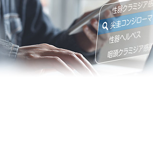 公式案内画像