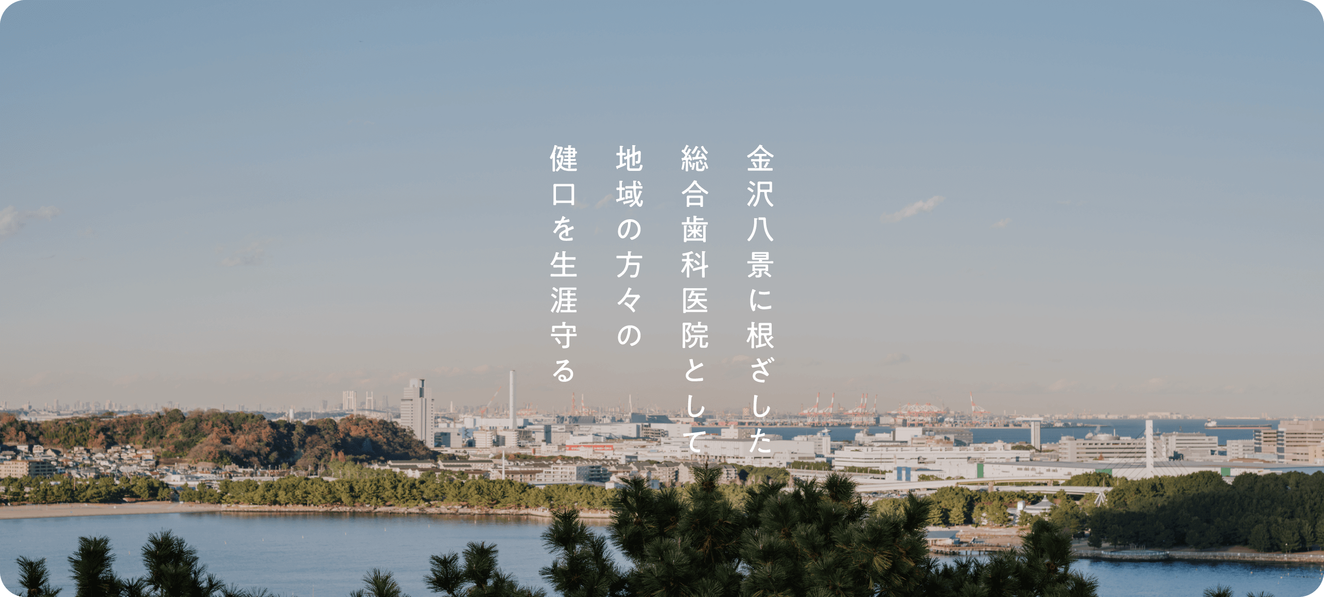グリムデンタルクリニック の写真