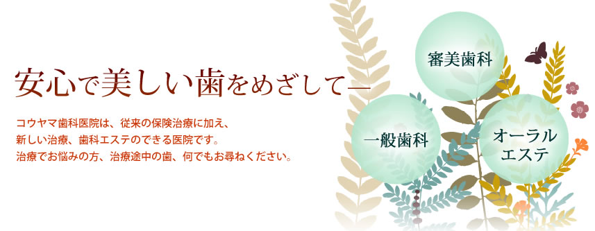 公式案内画像