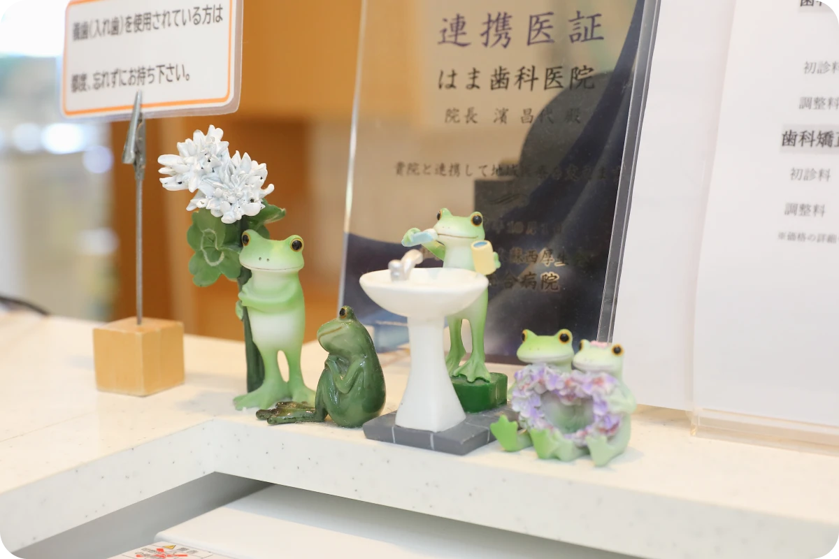 公式案内画像