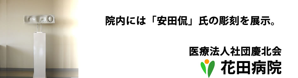 公式案内画像