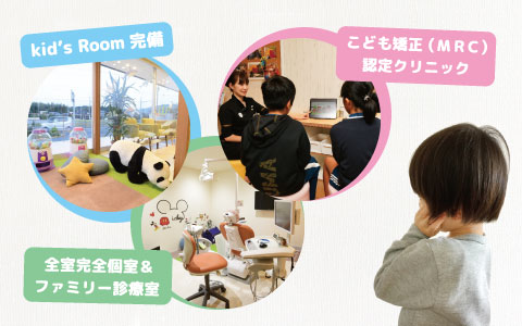 公式案内画像