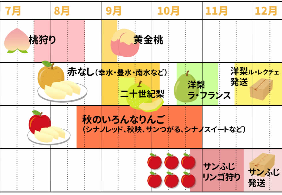 公式案内画像
