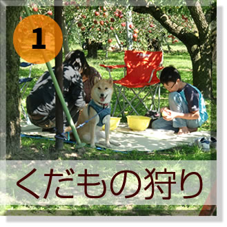 原りんご園 の写真