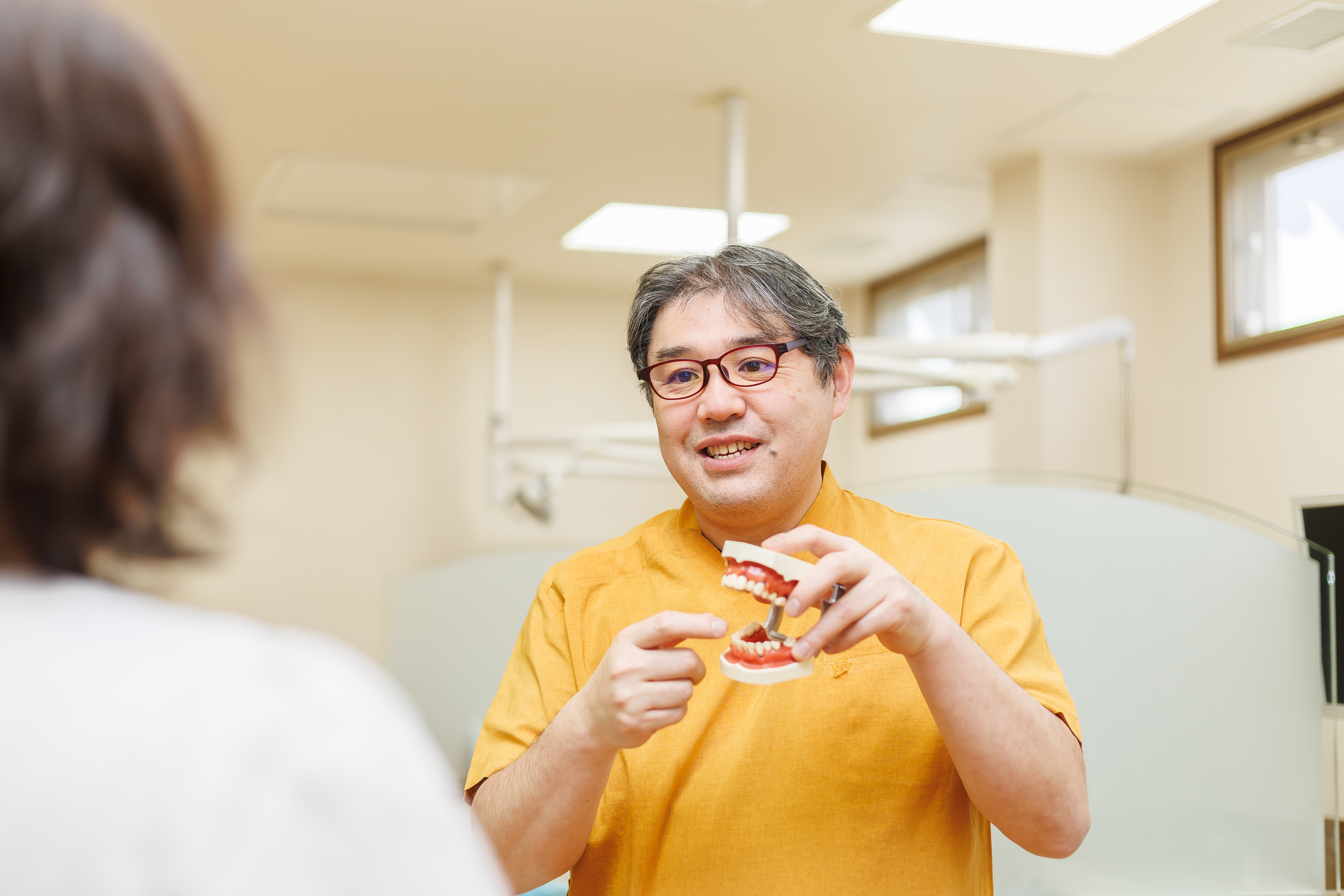 公式案内画像