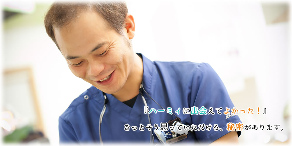公式案内画像