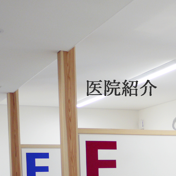 公式案内画像
