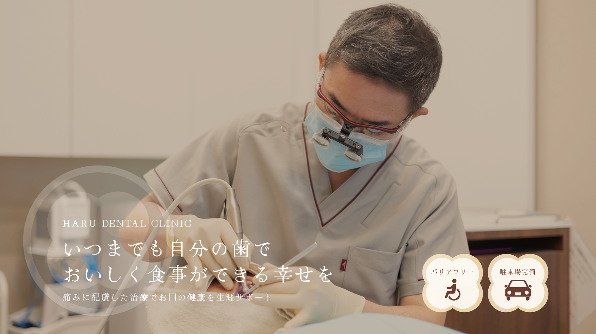公式案内画像