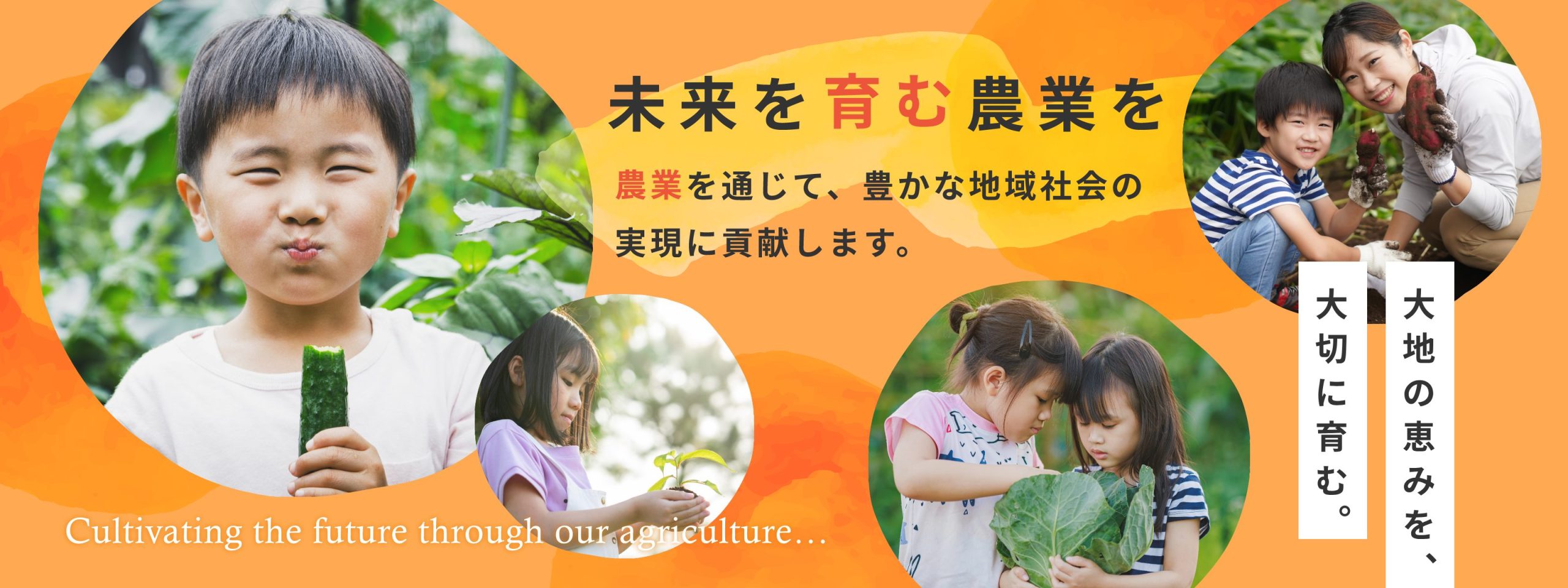 公式案内画像