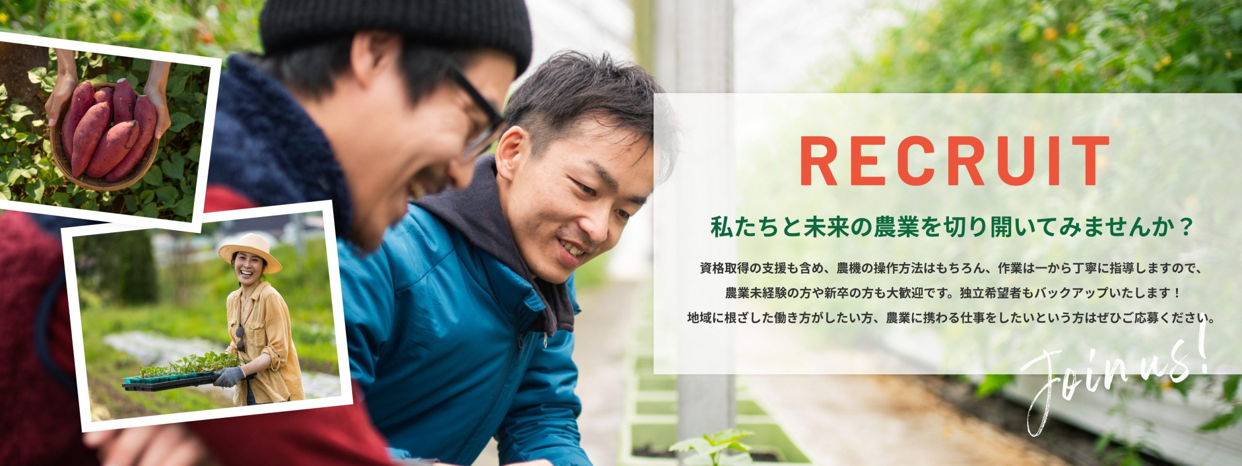 公式案内画像
