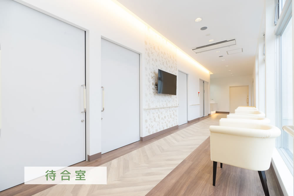 公式案内画像
