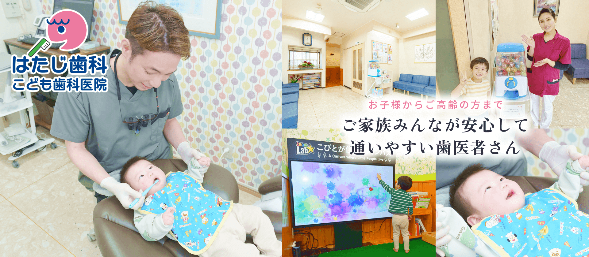 公式案内画像