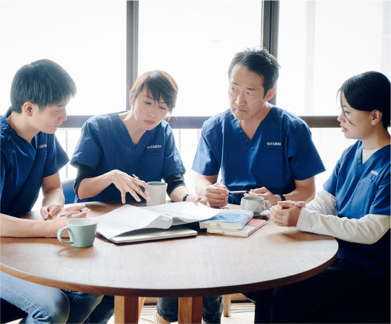 公式案内画像