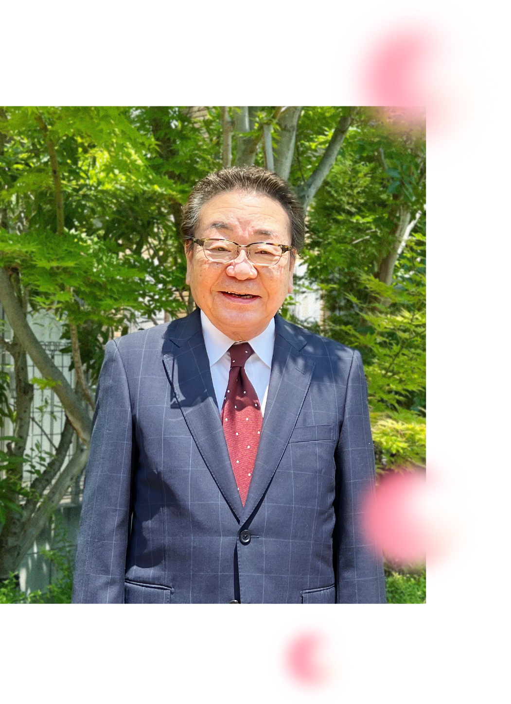 公式案内画像