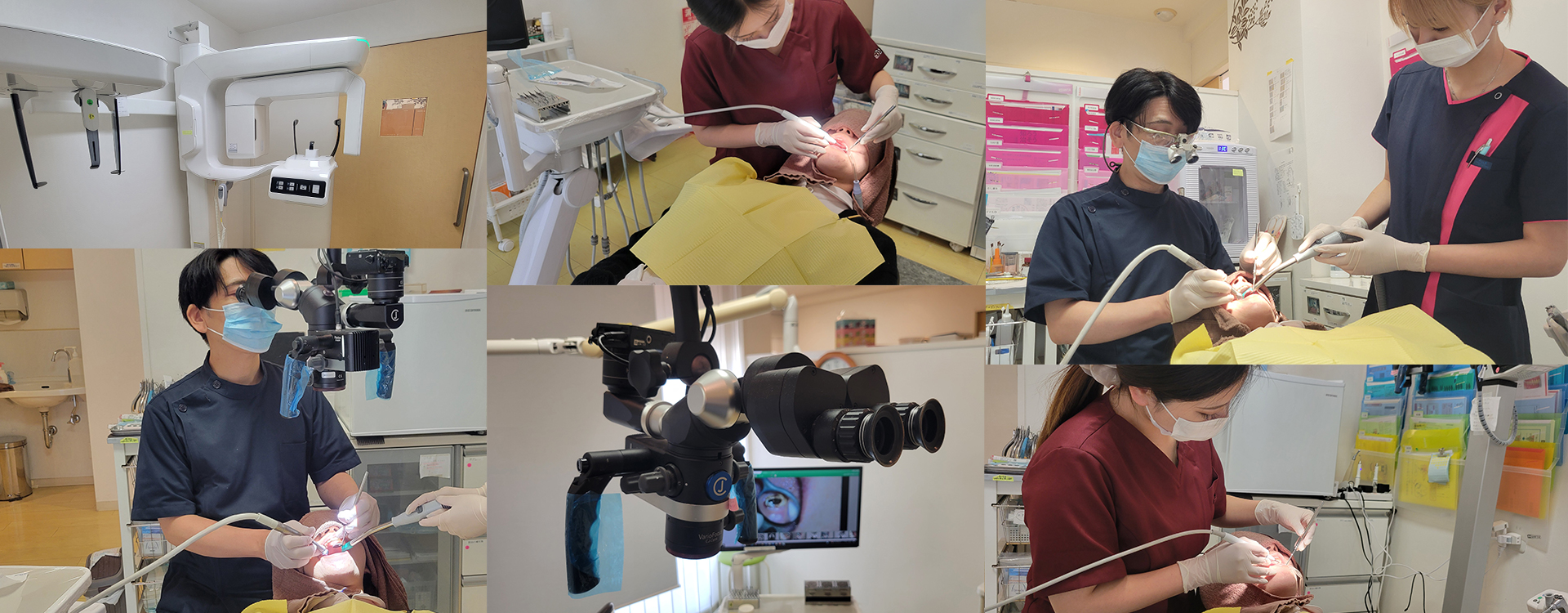 公式案内画像