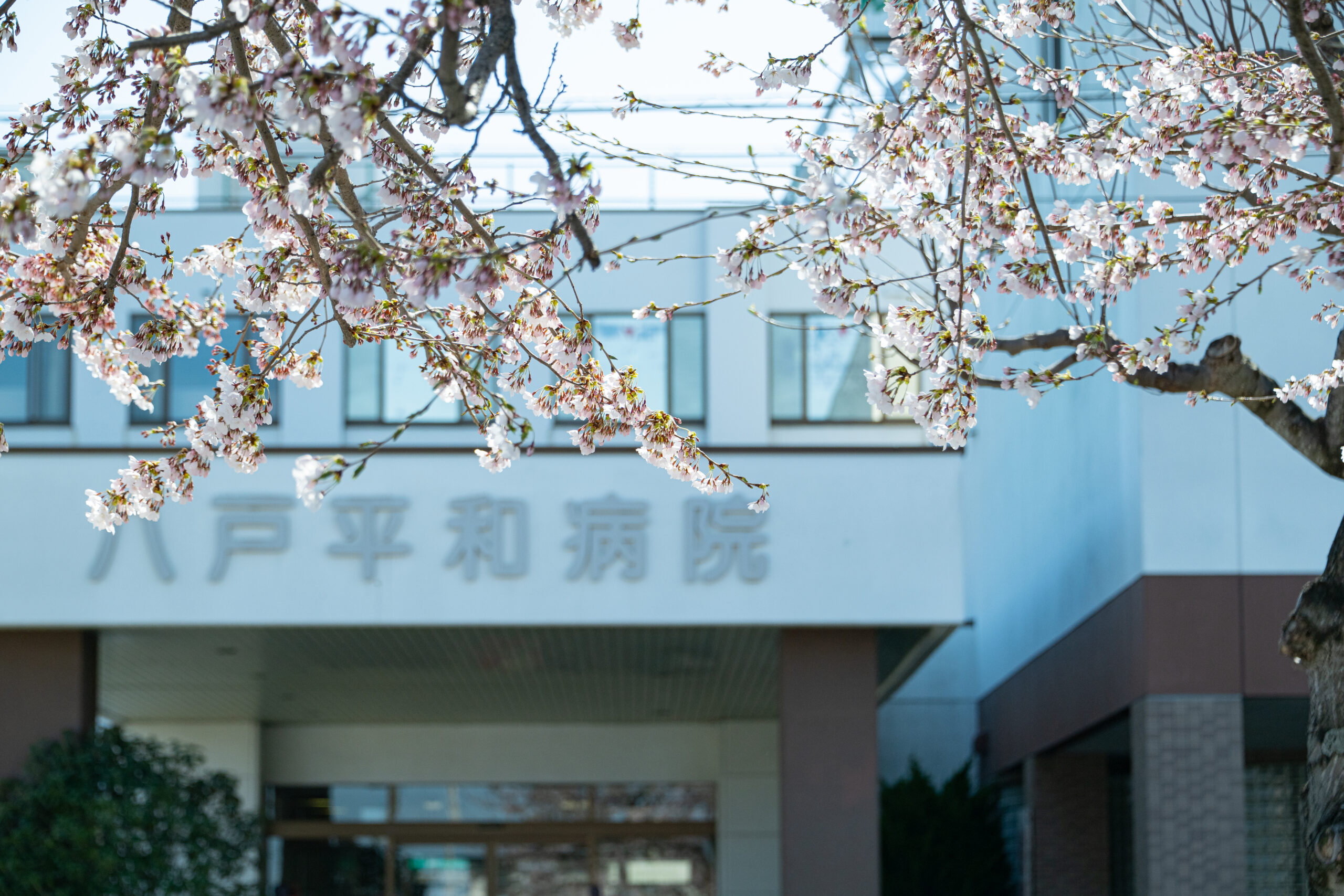 八戸平和病院 の写真