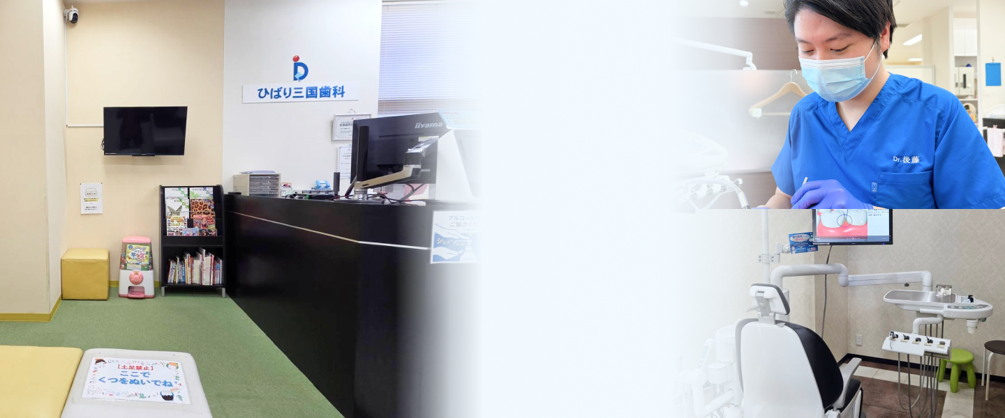 公式案内画像