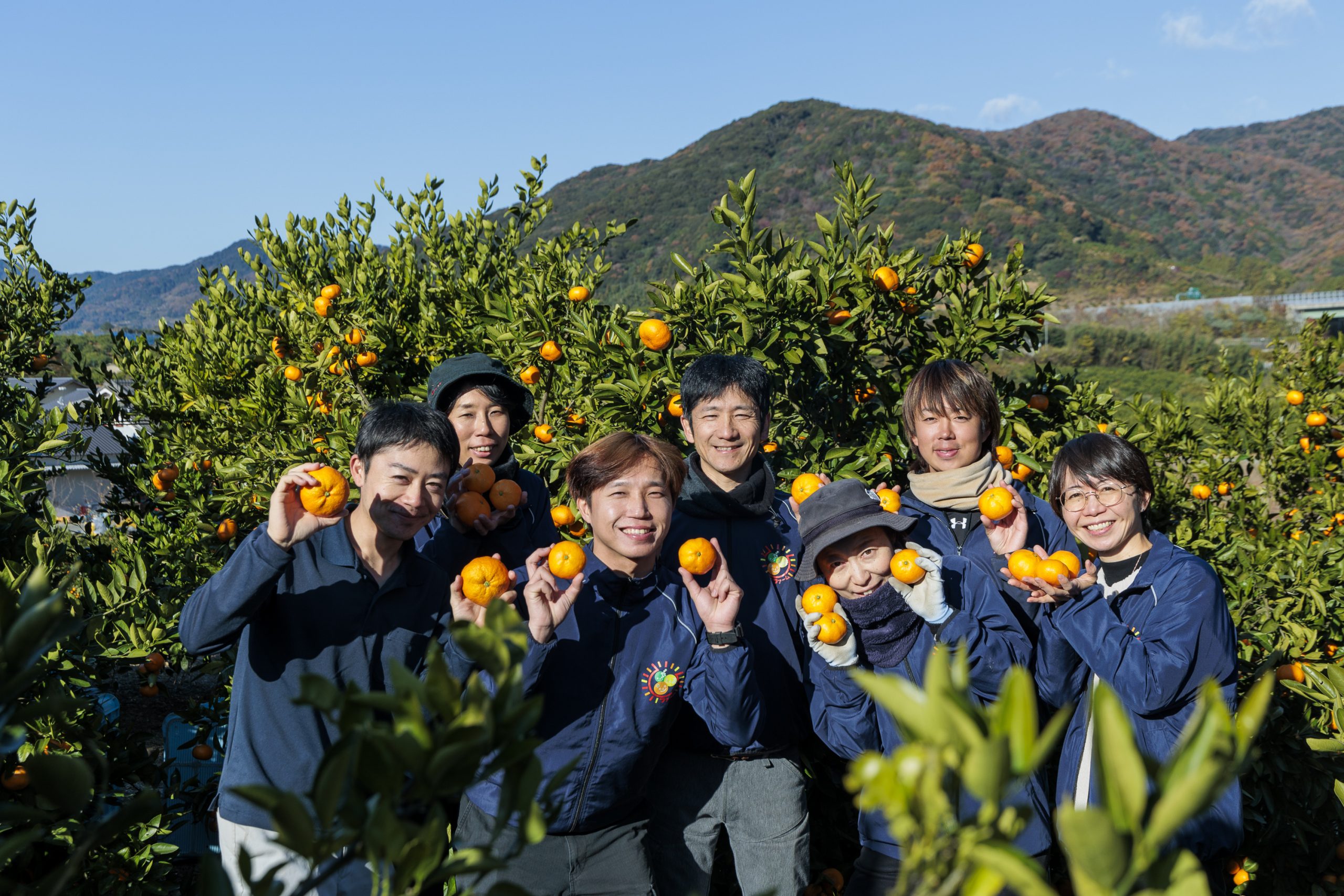 株式会社 陽だまりファーム の写真
