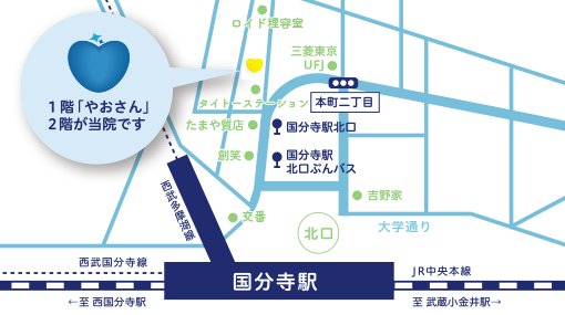 公式案内画像