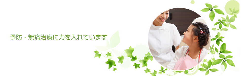 公式案内画像