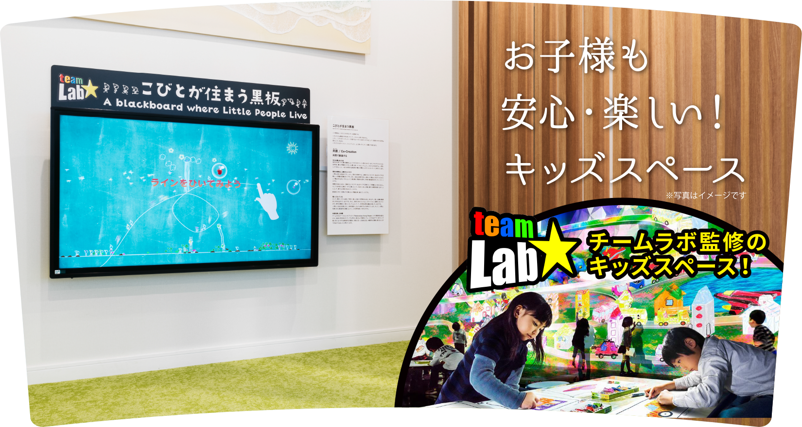 公式案内画像