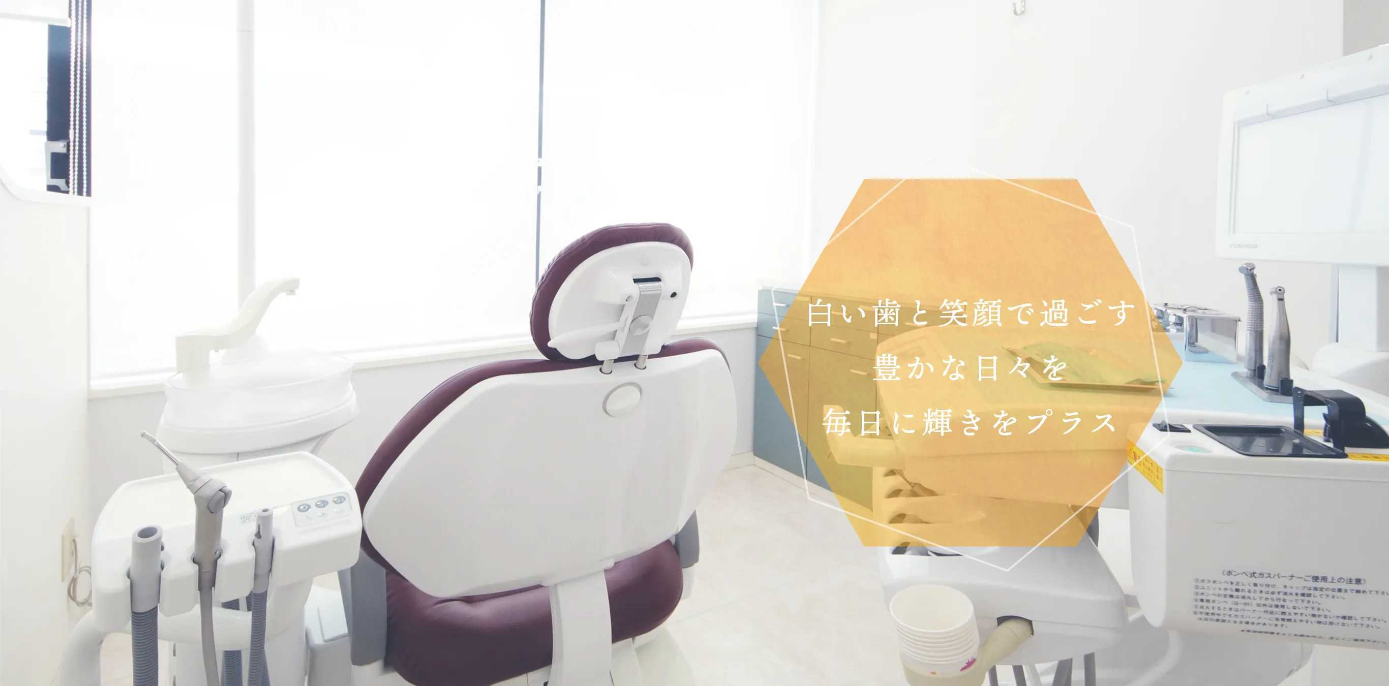 公式案内画像