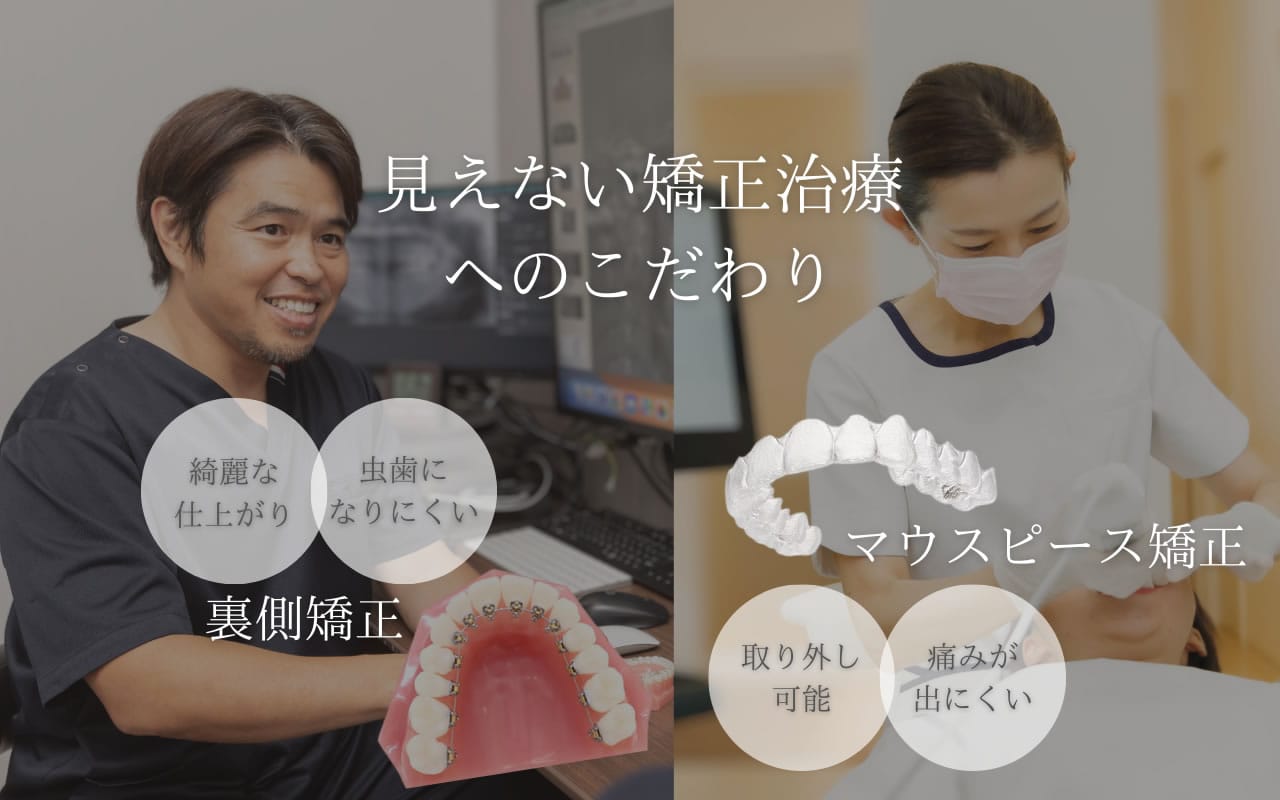 公式案内画像