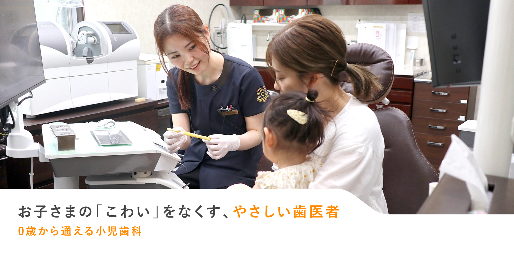 公式案内画像