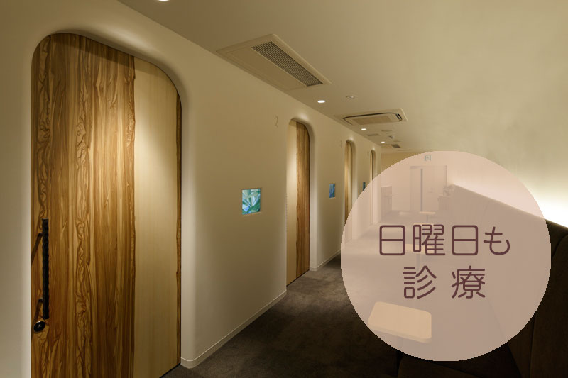 公式案内画像