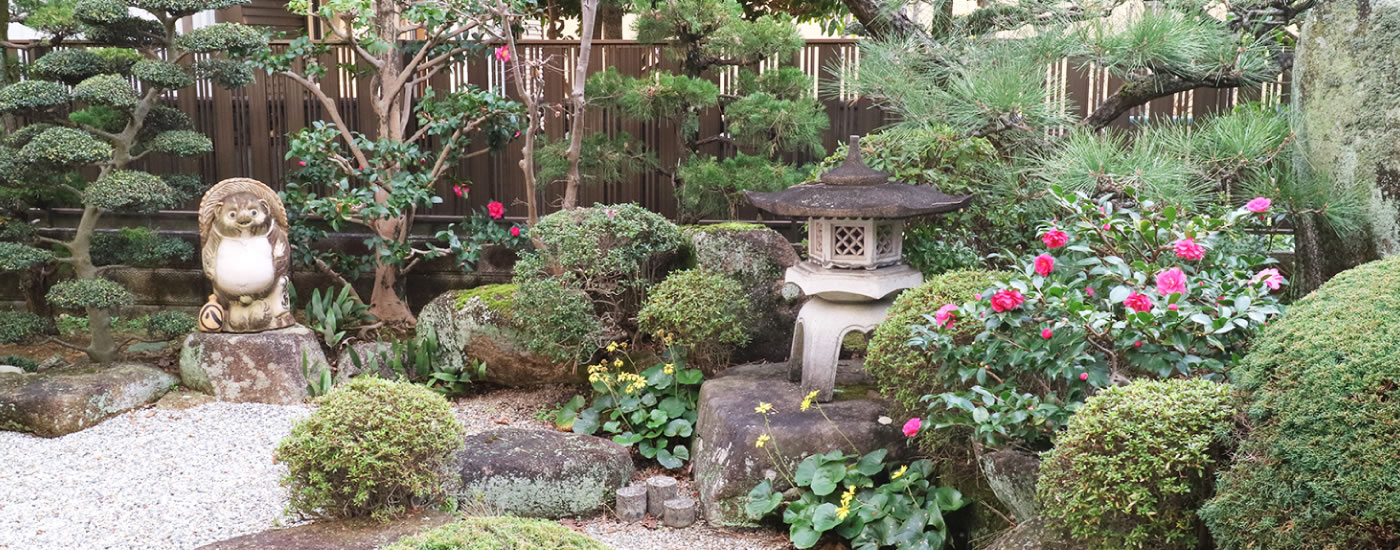 廣中歯科医院 の写真