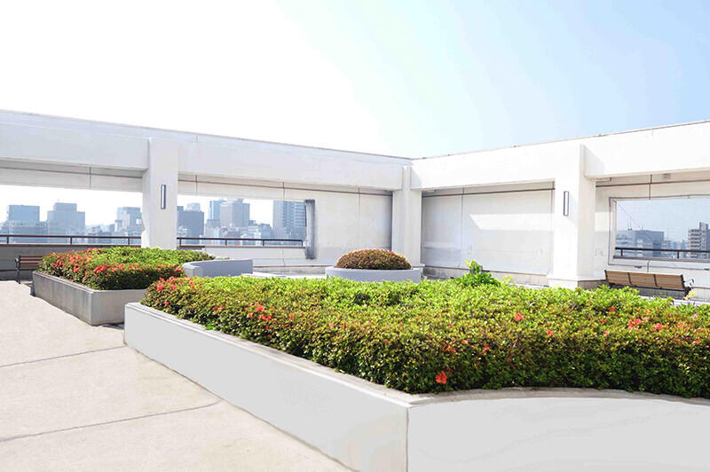 広島記念病院の屋上庭園