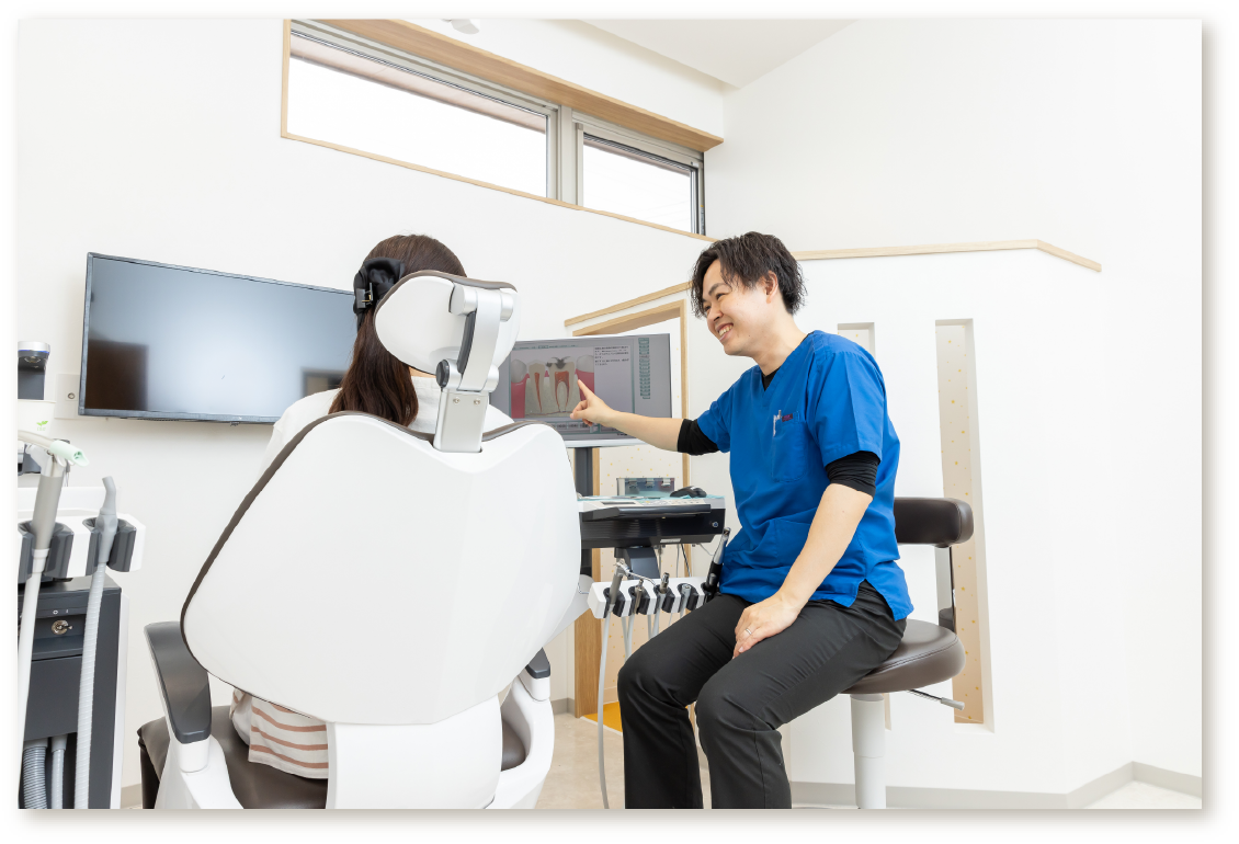 公式案内画像