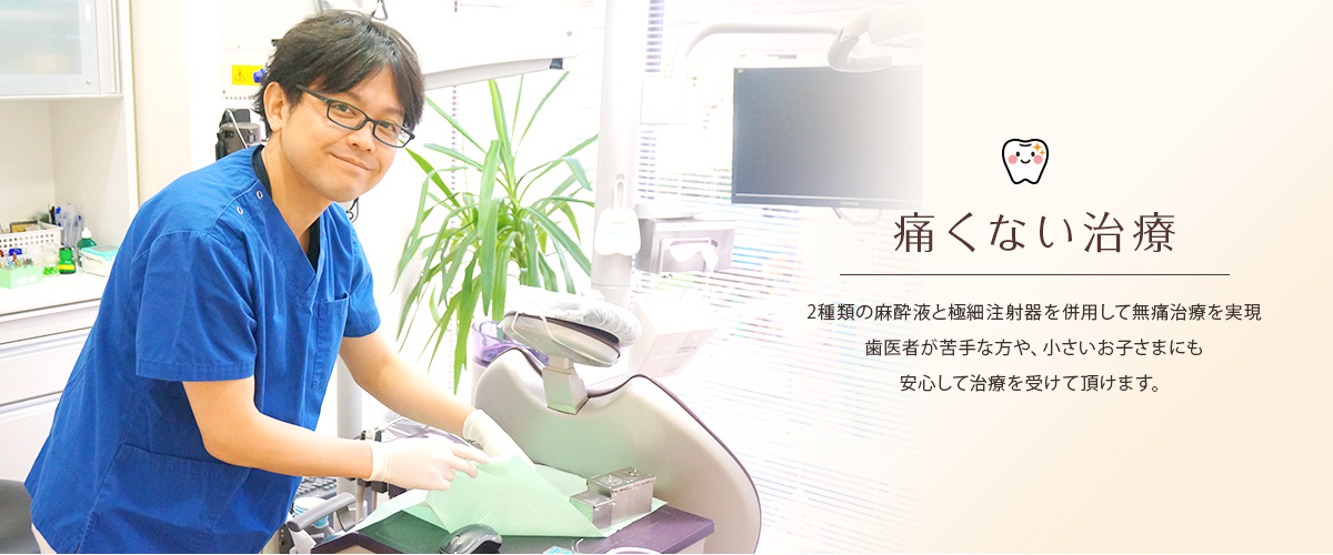 公式案内画像