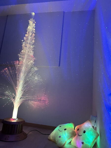 ほがらか星 親と子の発達クリニック の写真