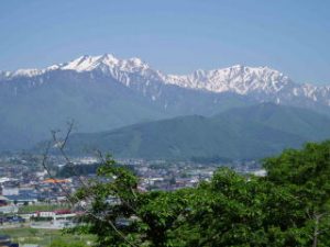公式案内画像