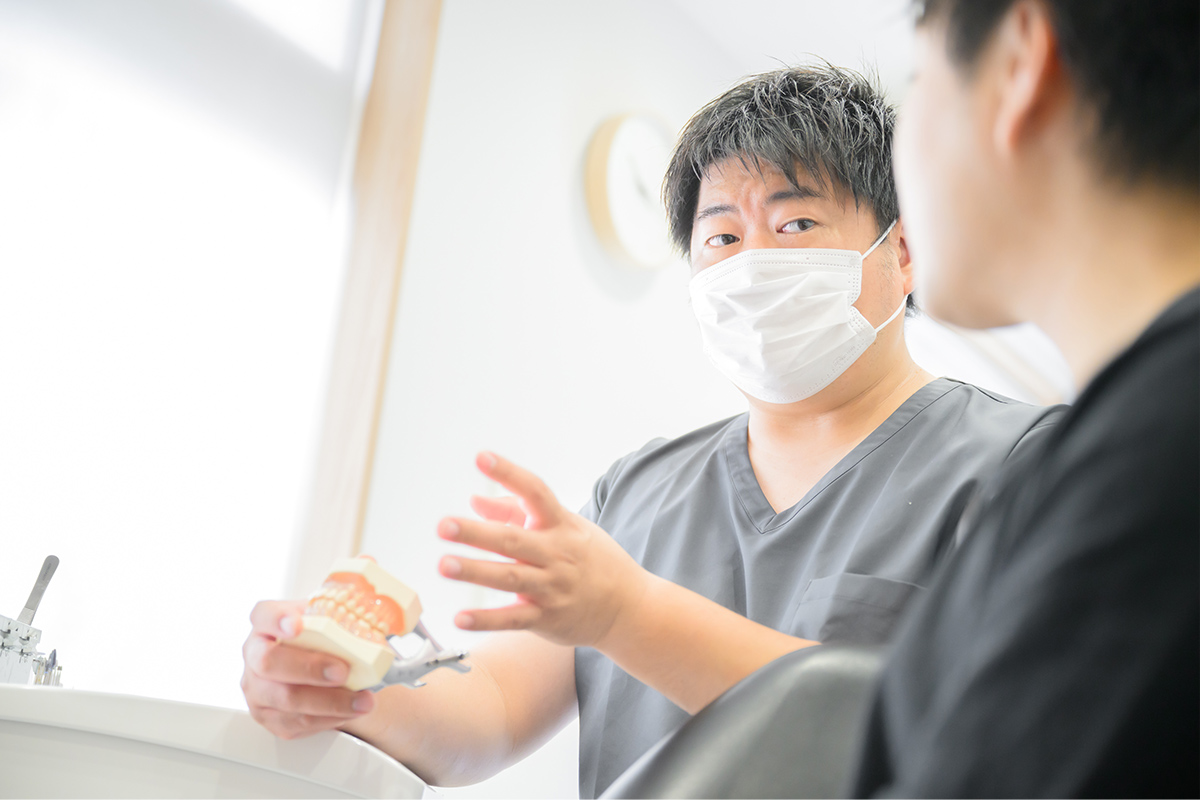 公式案内画像