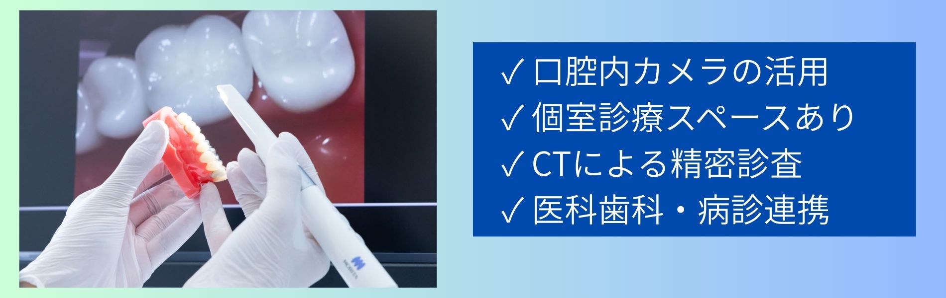 公式案内画像
