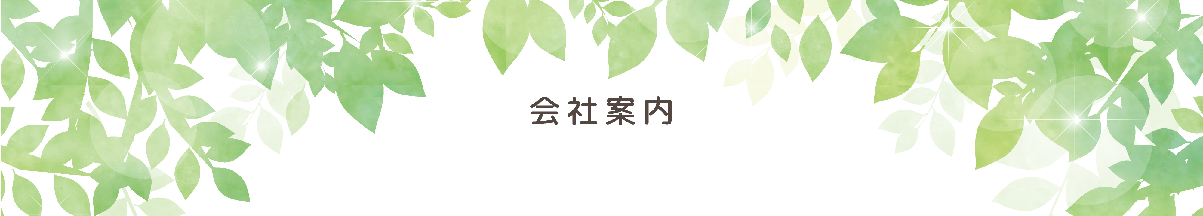 公式案内画像