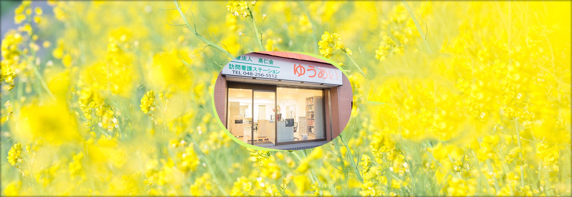 公式案内画像