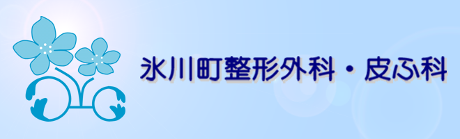 公式案内画像