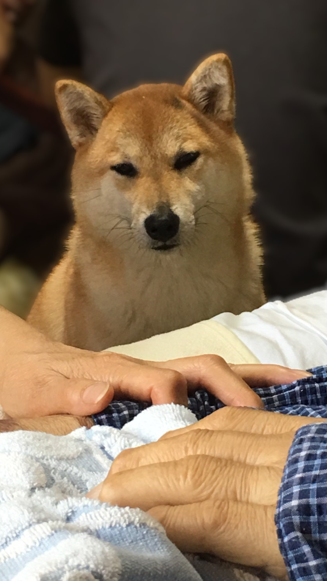 訪問看護ステーション福 の写真