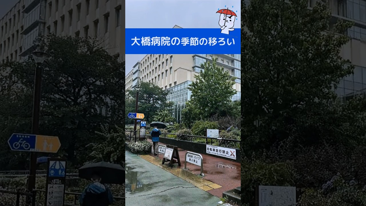 緑に囲まれた東邦大学医療センター大橋病院の外観