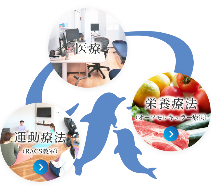 公式案内画像
