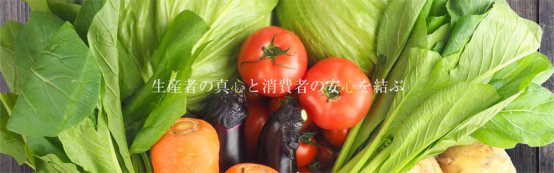 池田物産株式会社 の写真