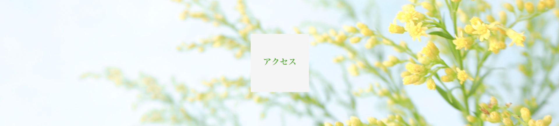 公式案内画像