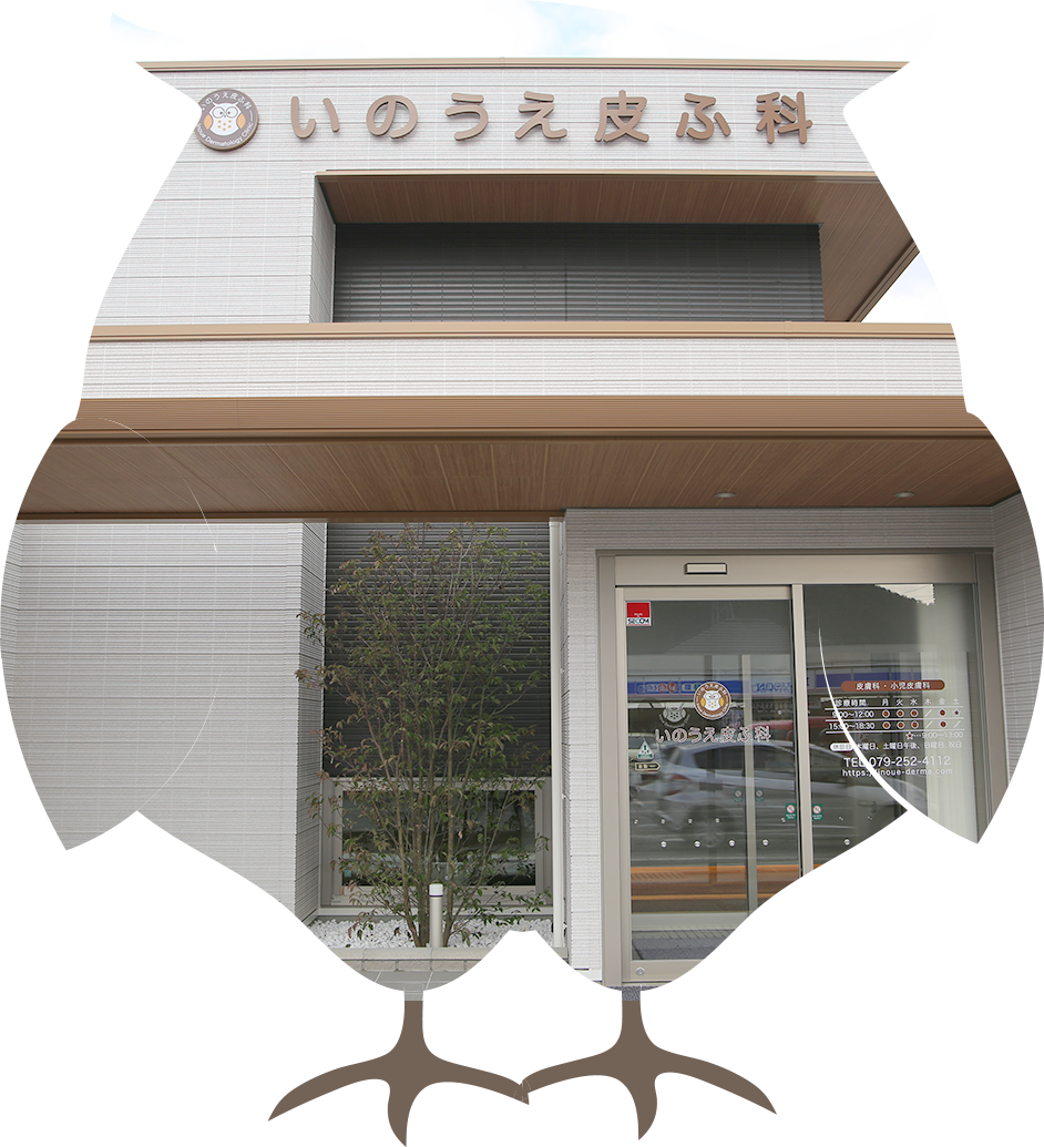 公式案内画像