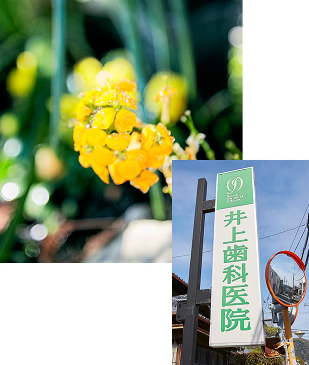 公式案内画像