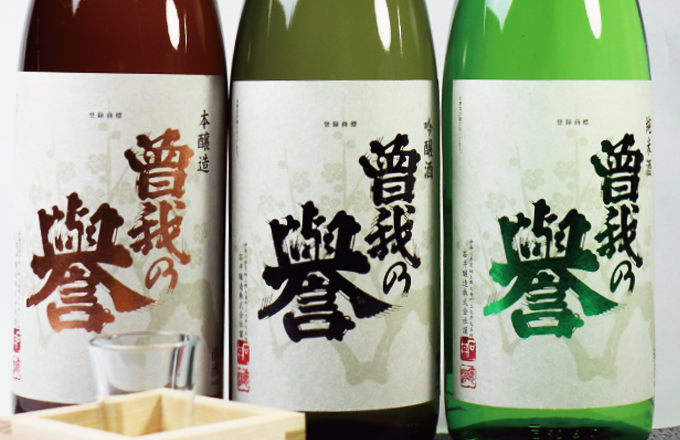 公式案内画像