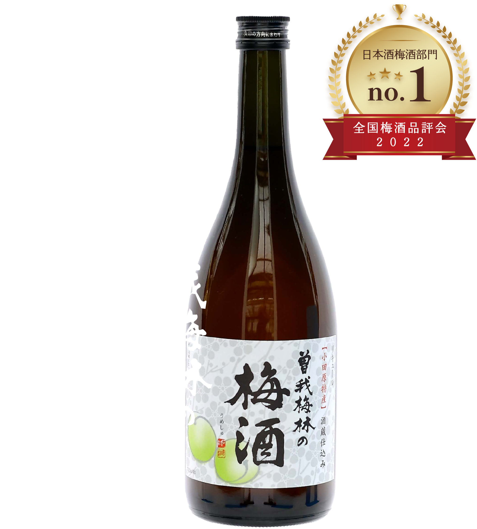 公式案内画像