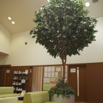 公式案内画像